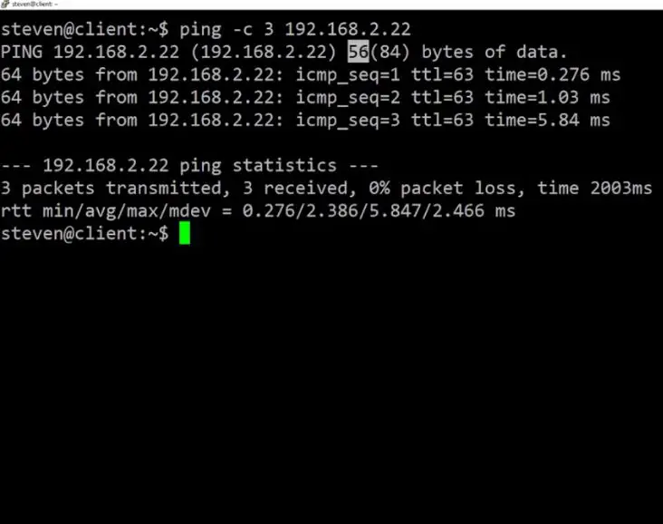 linux-terminal-ping-test